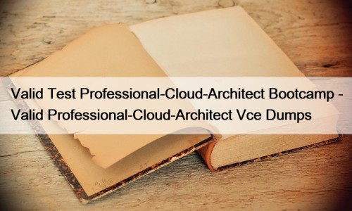 Valid Test Professional-Cloud-Architect Bootcamp - Valid Professional-Cloud-Architect Vce Dumps